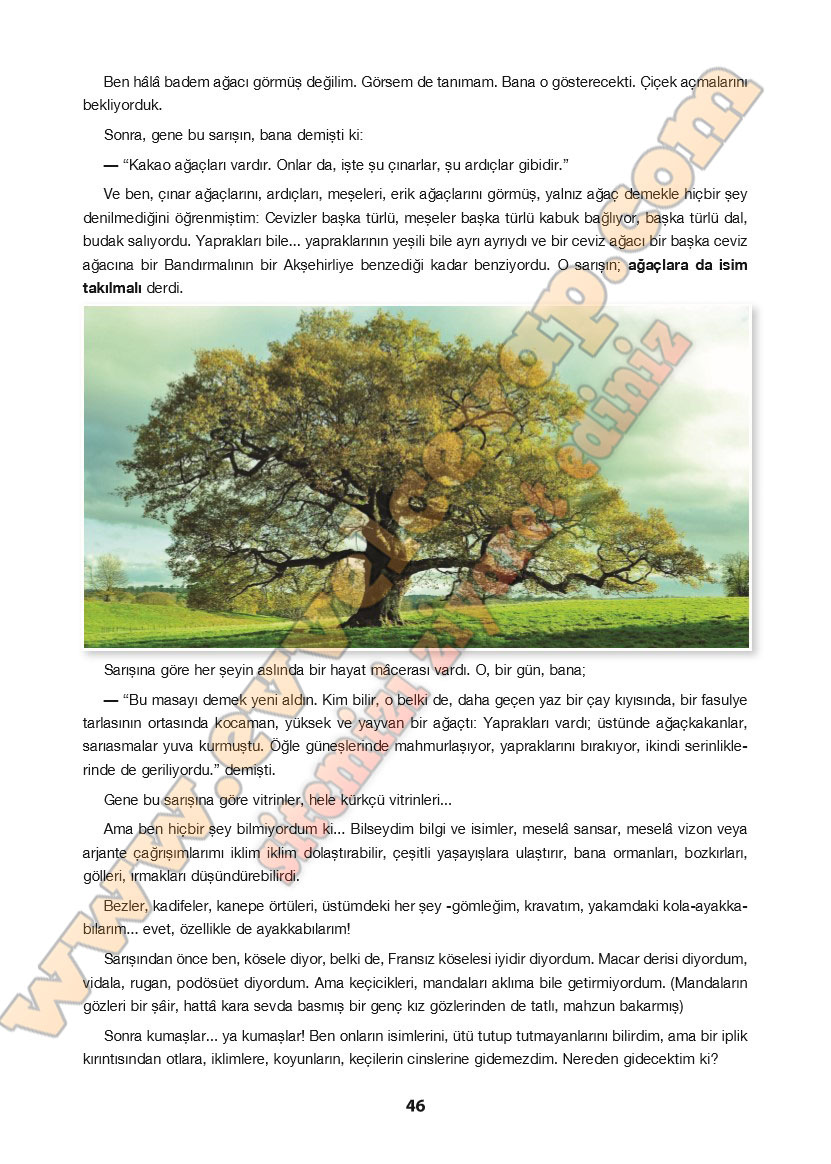 11-sinif-turk-dili-ve-edebiyati-ders-kitabi-cevabi-cem-yayinlari-sayfa-46