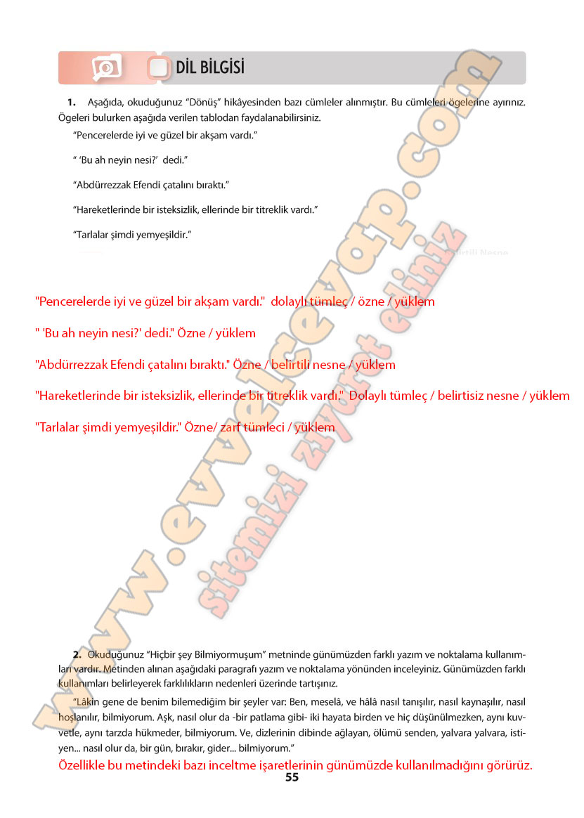11-sinif-turk-dili-ve-edebiyati-ders-kitabi-cevabi-cem-yayinlari-sayfa-55