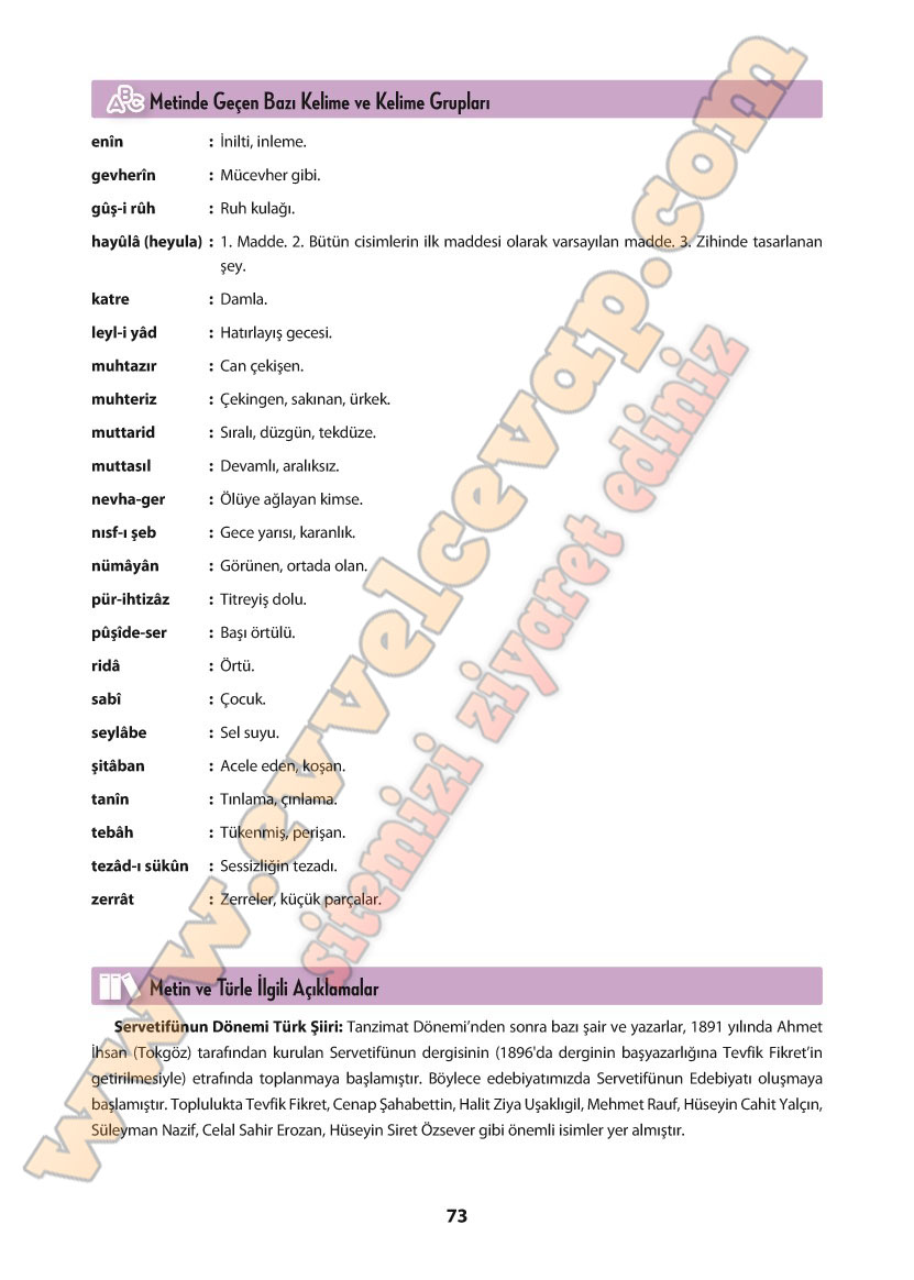 11-sinif-turk-dili-ve-edebiyati-ders-kitabi-cevabi-cem-yayinlari-sayfa-73