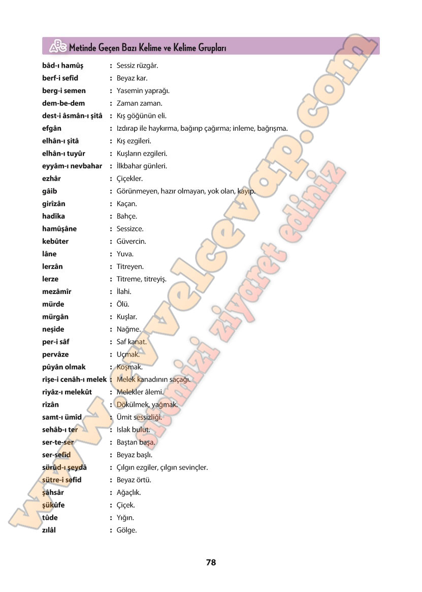 11-sinif-turk-dili-ve-edebiyati-ders-kitabi-cevabi-cem-yayinlari-sayfa-78