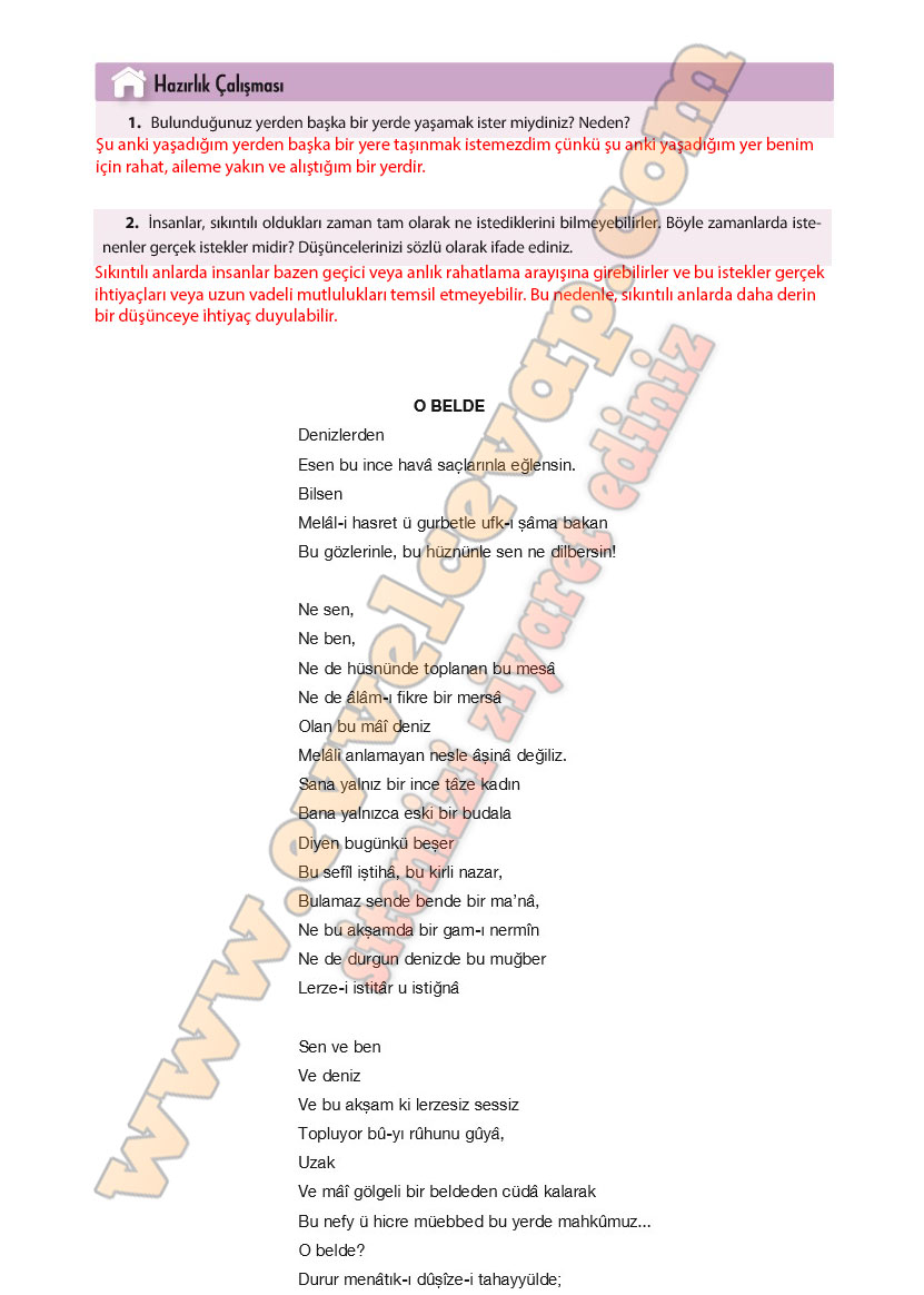 11-sinif-turk-dili-ve-edebiyati-ders-kitabi-cevabi-cem-yayinlari-sayfa-81