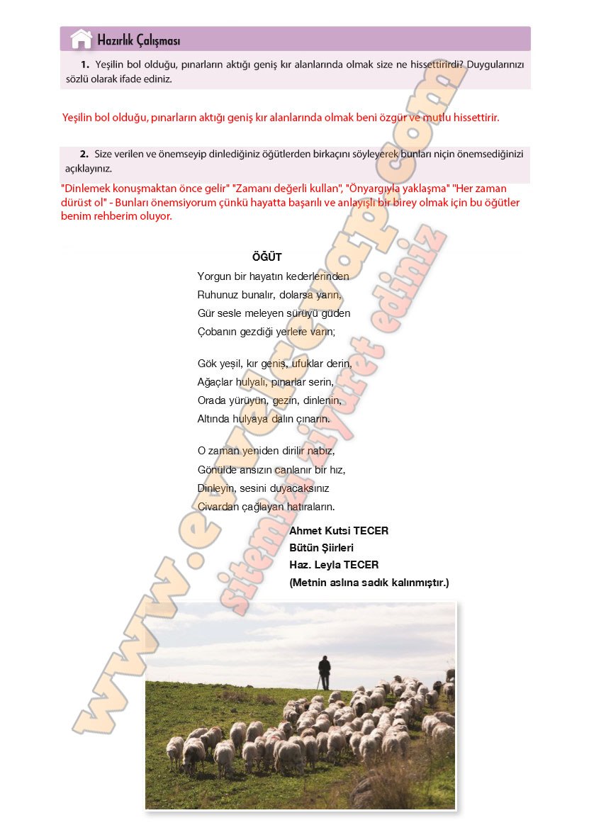 11-sinif-turk-dili-ve-edebiyati-ders-kitabi-cevabi-cem-yayinlari-sayfa-95