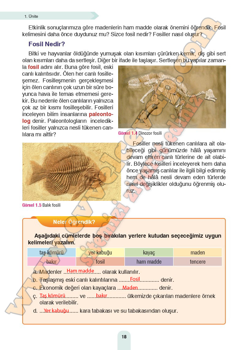 4-sinif-fen-bilimleri-ders-kitabi-cevaplari-sozcu-yayinlari-sayfa-18