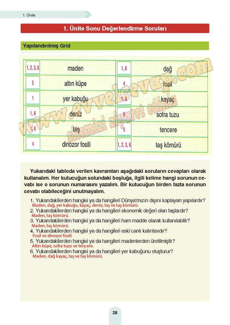 4-sinif-fen-bilimleri-ders-kitabi-cevaplari-sozcu-yayinlari-sayfa-28