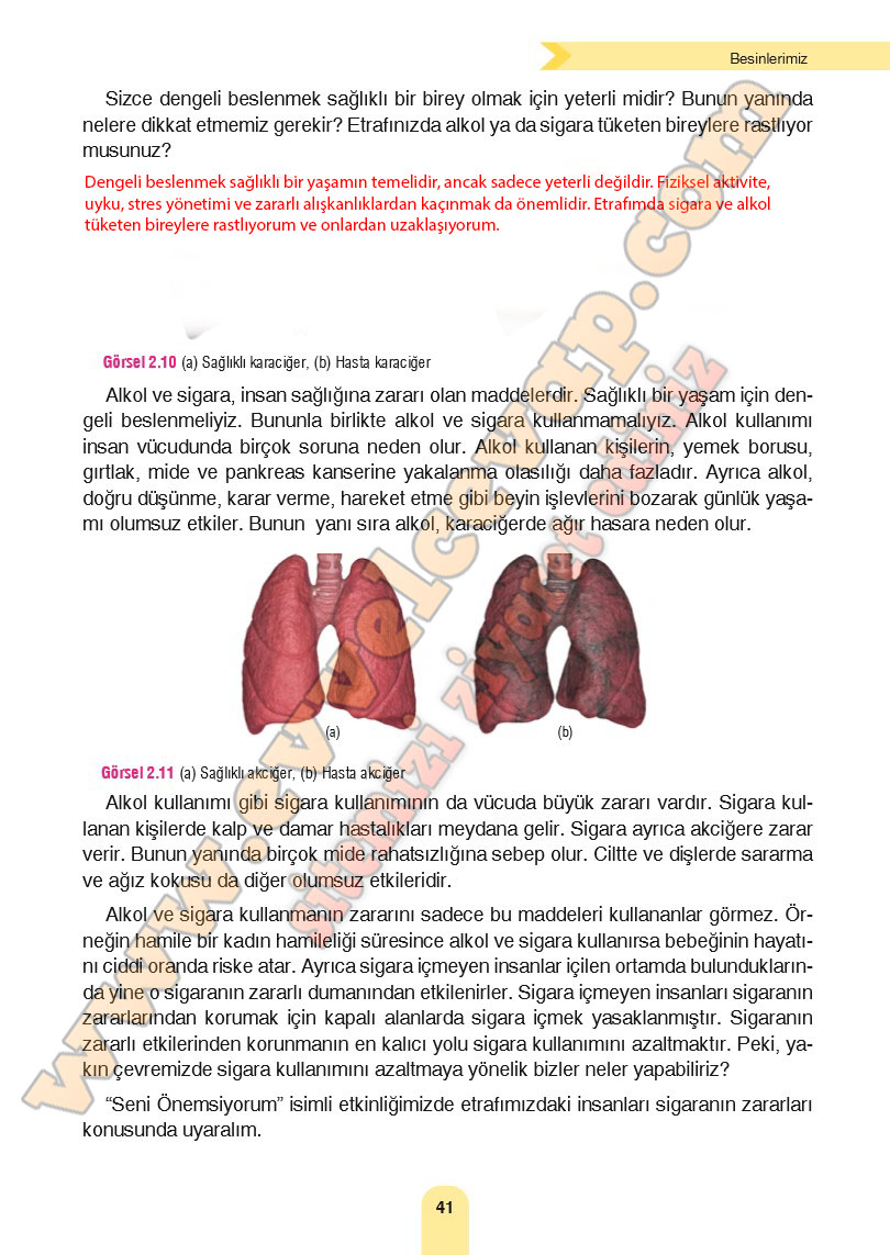 4-sinif-fen-bilimleri-ders-kitabi-cevaplari-sozcu-yayinlari-sayfa-41