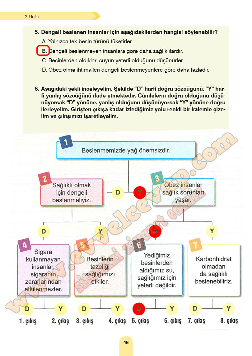 4-sinif-fen-bilimleri-ders-kitabi-cevaplari-sozcu-yayinlari-sayfa-46