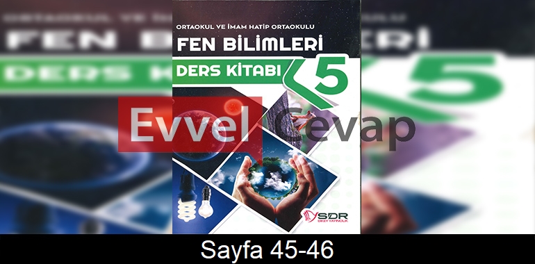 5. Sınıf SDR Dikey Yayınları Fen Bilimleri Ders Kitabı Cevapları Sayfa 45-46