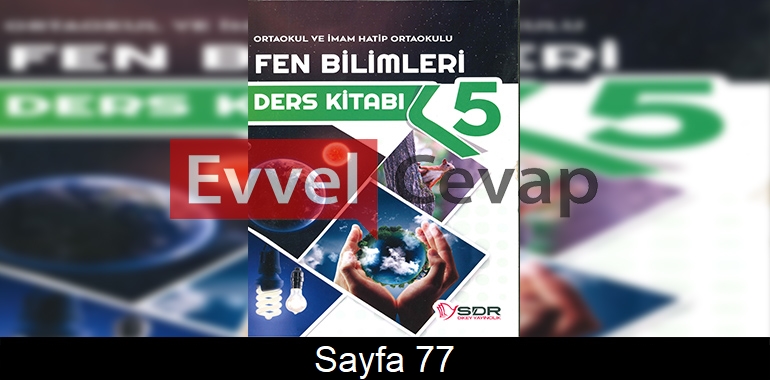 5. Sınıf SDR Dikey Yayınları Fen Bilimleri Ders Kitabı Cevapları Sayfa 77
