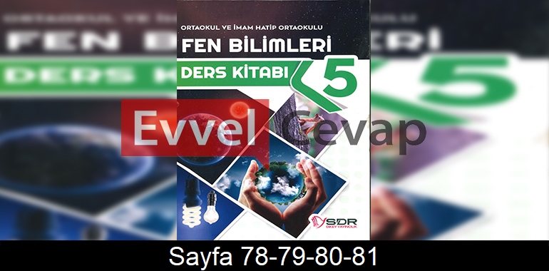 5. Sınıf SDR Dikey Yayınları Fen Bilimleri Ders Kitabı Cevapları Sayfa 78-79-80-81