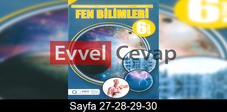 6. Sınıf Adım Adım Yayınları Fen Bilimleri Ders Kitabı Cevapları Sayfa 27-28-29-30