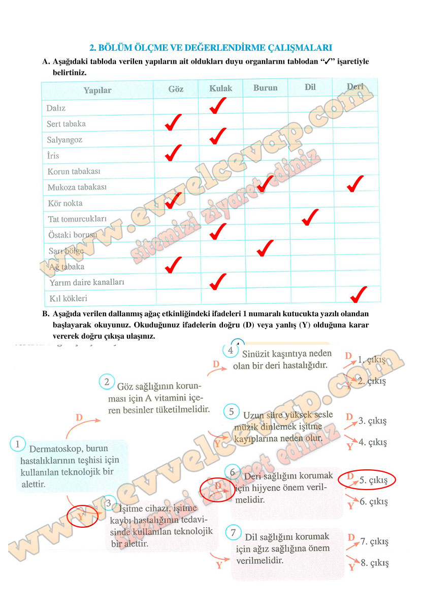 6-sinif-fen-bilimleri-ders-kitabi-cevaplari-adim-adim-matbaa-yayinlari-sayfa-207