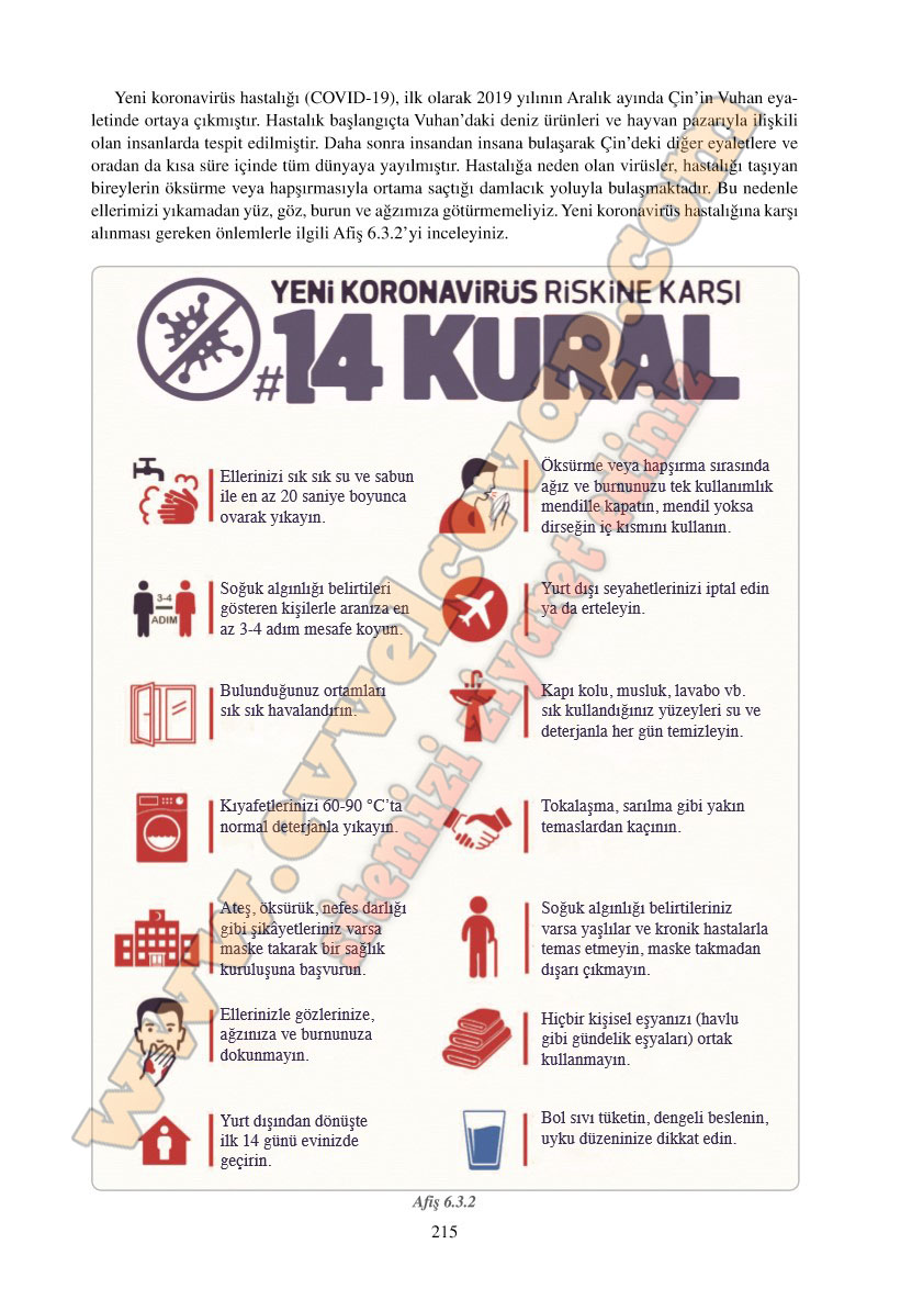 6-sinif-fen-bilimleri-ders-kitabi-cevaplari-adim-adim-matbaa-yayinlari-sayfa-215