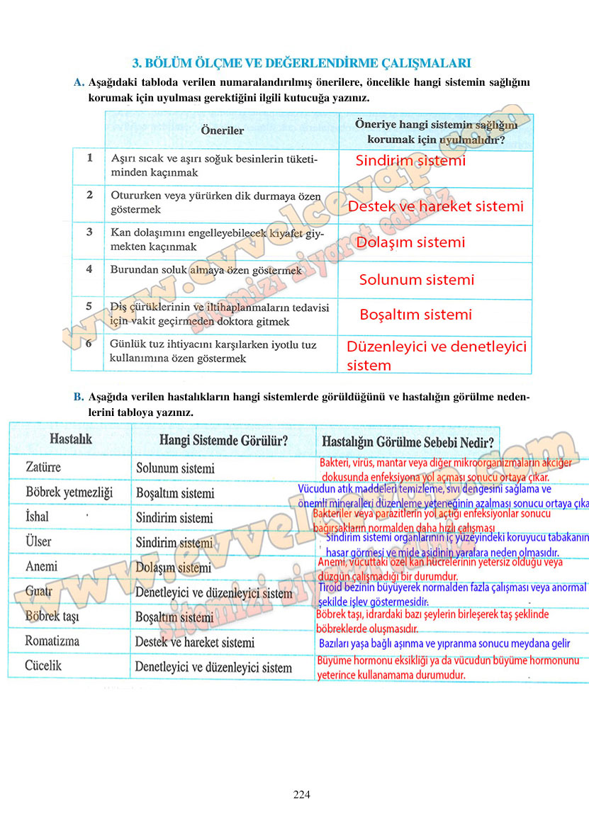 6-sinif-fen-bilimleri-ders-kitabi-cevaplari-adim-adim-matbaa-yayinlari-sayfa-224