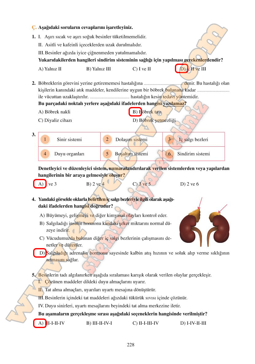 6-sinif-fen-bilimleri-ders-kitabi-cevaplari-adim-adim-matbaa-yayinlari-sayfa-228