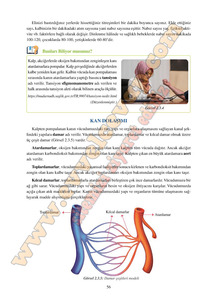 6-sinif-fen-bilimleri-ders-kitabi-cevaplari-adim-adim-matbaa-yayinlari-sayfa-56