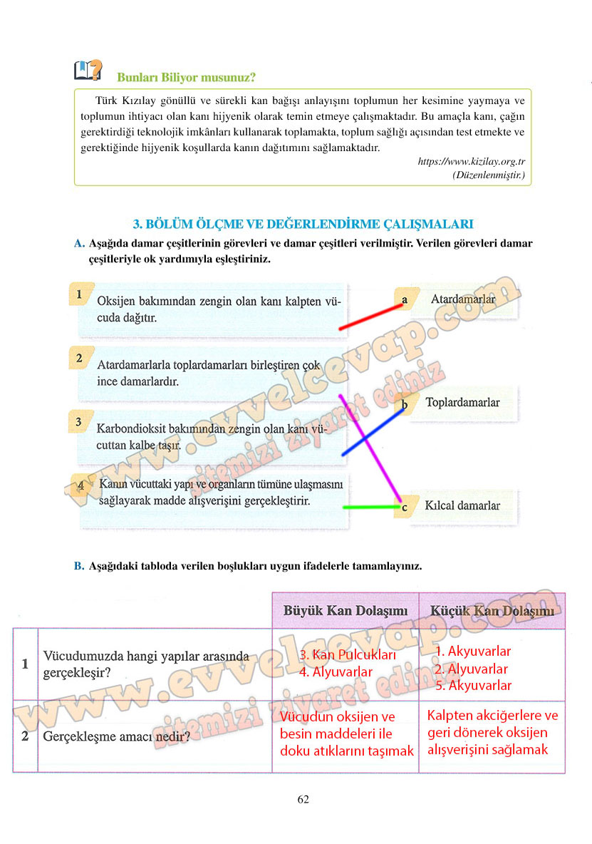 6-sinif-fen-bilimleri-ders-kitabi-cevaplari-adim-adim-matbaa-yayinlari-sayfa-62