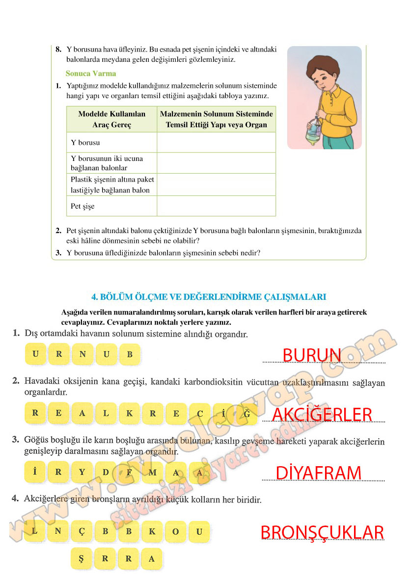 6-sinif-fen-bilimleri-ders-kitabi-cevaplari-adim-adim-matbaa-yayinlari-sayfa-66