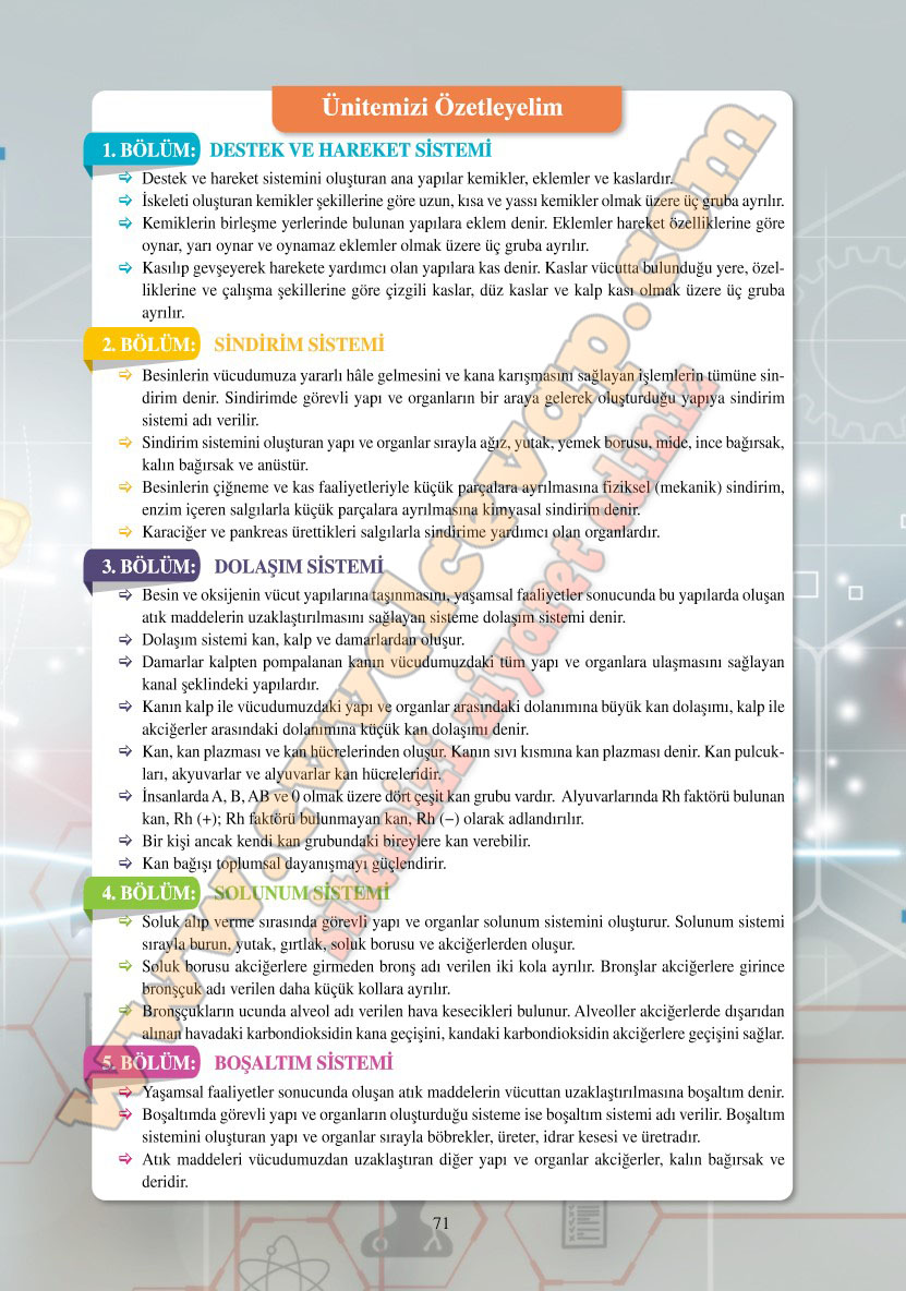 6-sinif-fen-bilimleri-ders-kitabi-cevaplari-adim-adim-matbaa-yayinlari-sayfa-71