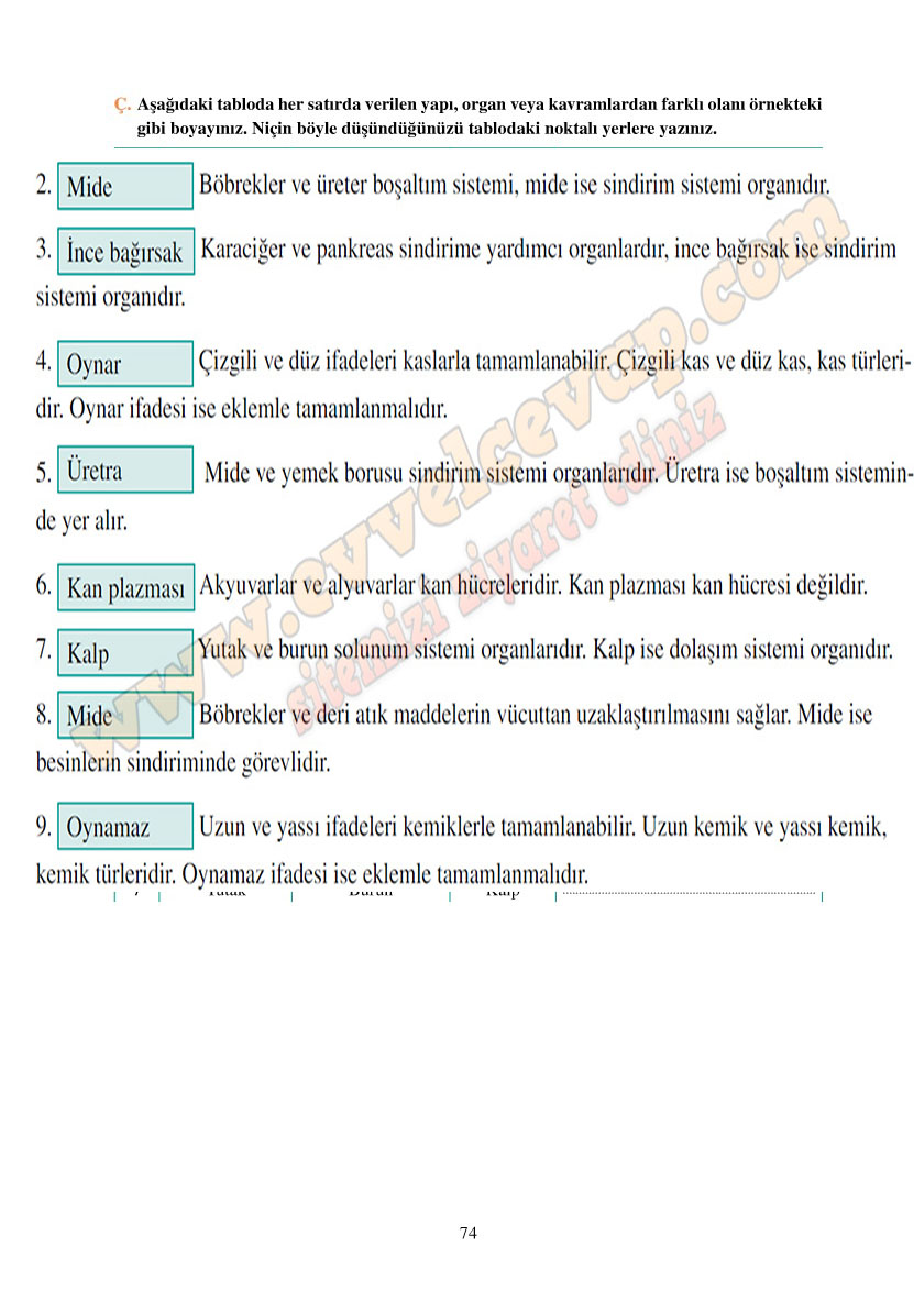 6-sinif-fen-bilimleri-ders-kitabi-cevaplari-adim-adim-matbaa-yayinlari-sayfa-74