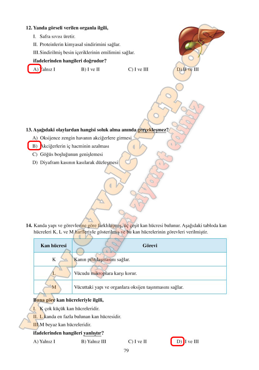 6-sinif-fen-bilimleri-ders-kitabi-cevaplari-adim-adim-matbaa-yayinlari-sayfa-79