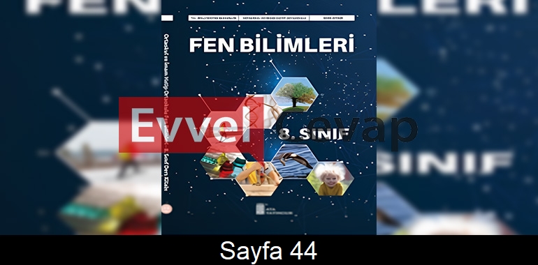 8. Sınıf Ata Yayınları Fen Bilimleri Ders Kitabı Cevapları Sayfa 44