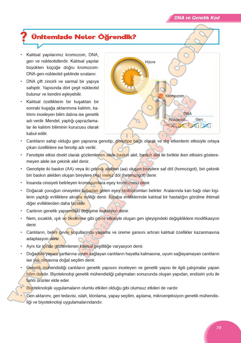 8-sinif-fen-bilimleri-ders-kitabi-cevabi-ata-yayinlari-sayfa-79