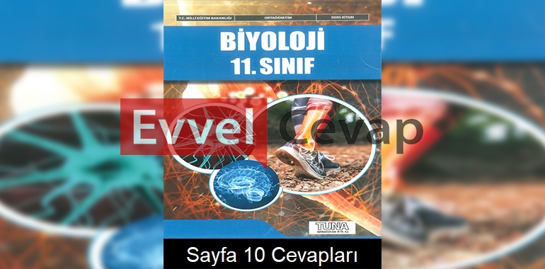 11. Sınıf Biyoloji Ders Kitabı Cevapları Tuna Yayınları Sayfa 10
