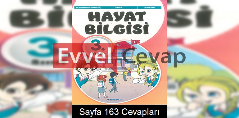 3. Sınıf Hayat Bilgisi Ders Kitabı Cevapları SDR İpekyolu Yayınları Sayfa 163
