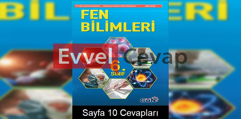6. Sınıf Fen Bilimleri Ders Kitabı Cevapları Gün Yayınları Sayfa 10