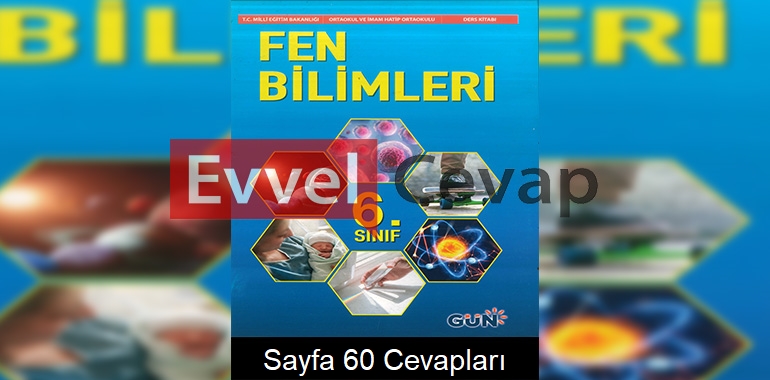 6. Sınıf Fen Bilimleri Ders Kitabı Cevapları Gün Yayınları Sayfa 60
