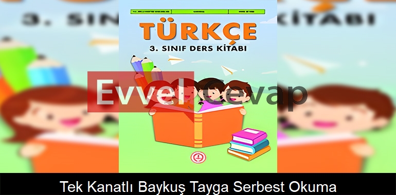 Tek Kanatlı Baykuş Tayga Serbest Okuma Metni Etkinlik Cevapları (3. Sınıf Türkçe)