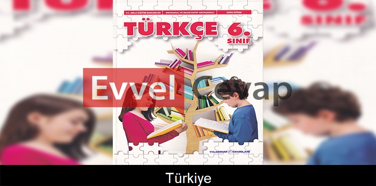 Türkiye Metni Etkinlik Cevapları (6. Sınıf Türkçe)