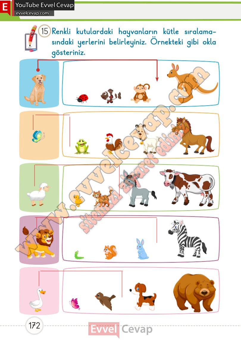 1-sinif-matematik-ders-kitabi-cevaplari-meb-1-kitap-sayfa-172