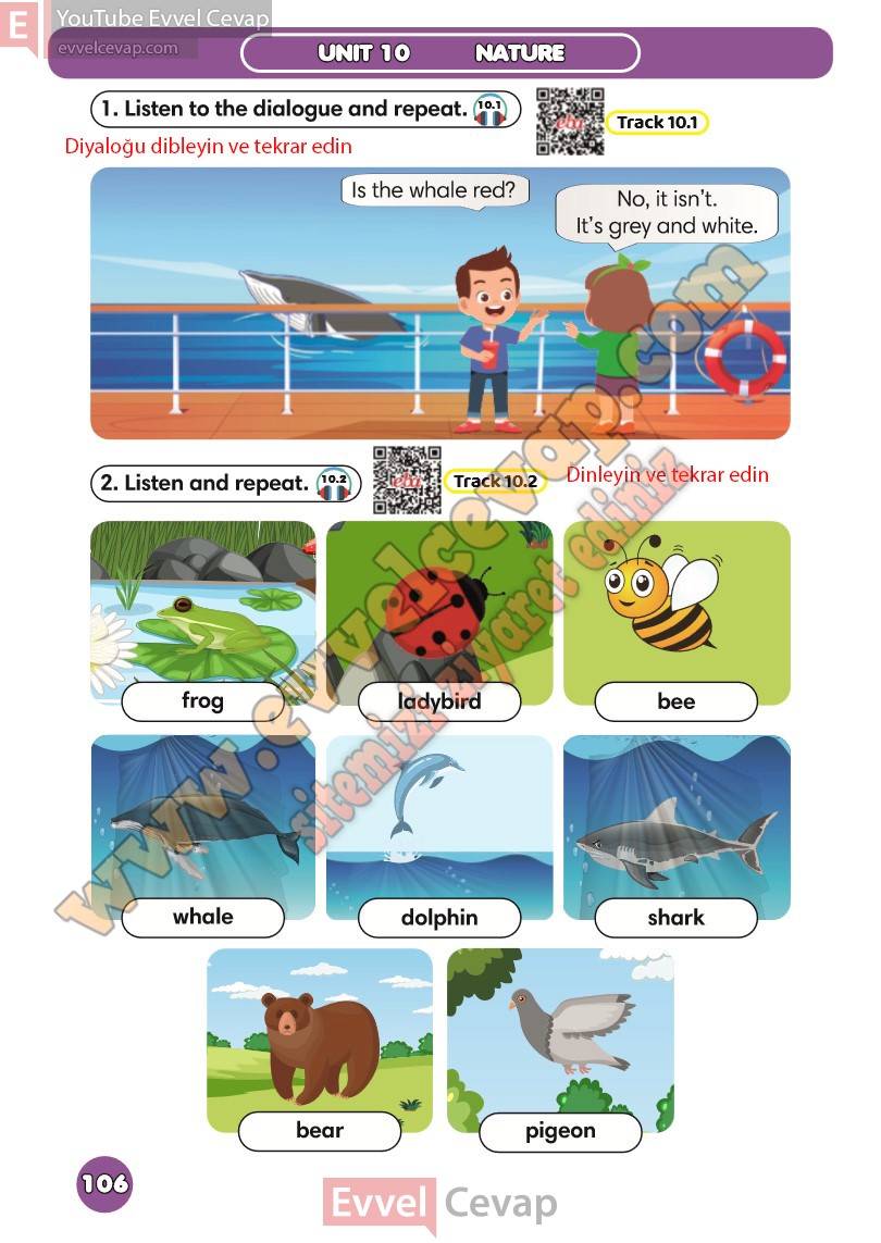 3-sinif-ingilizce-ders-kitabi-cevaplari-meb-sayfa-106