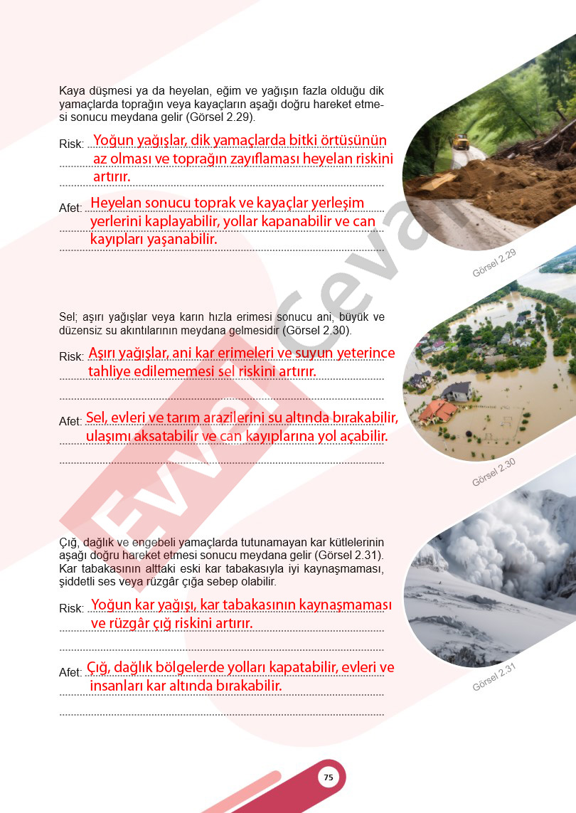 5-sinif-sosyal-bilgiler-ders-kitabi-cevaplari-meb-1-kitap-sayfa-75