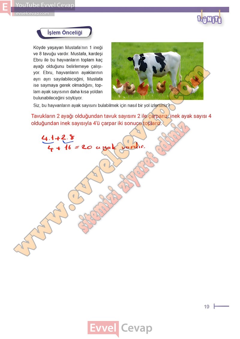 6-sinif-matematik-ders-kitabi-cevabi-meb-sayfa-19