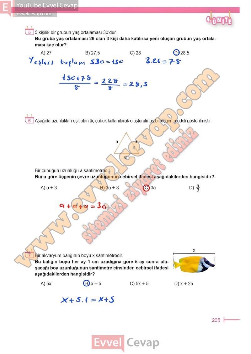 6-sinif-matematik-ders-kitabi-cevabi-meb-sayfa-205