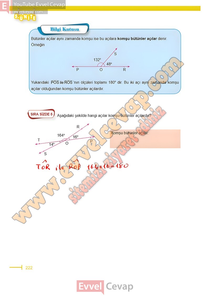 6-sinif-matematik-ders-kitabi-cevabi-meb-sayfa-222