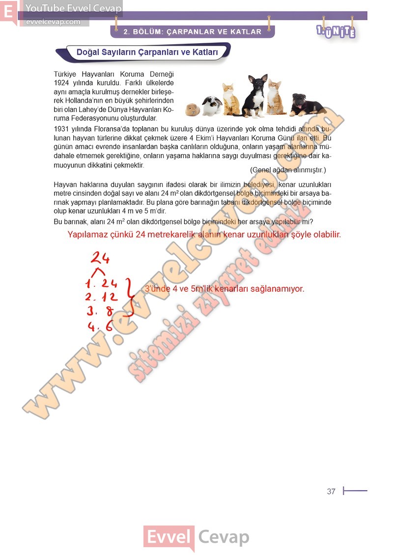 6-sinif-matematik-ders-kitabi-cevabi-meb-sayfa-37