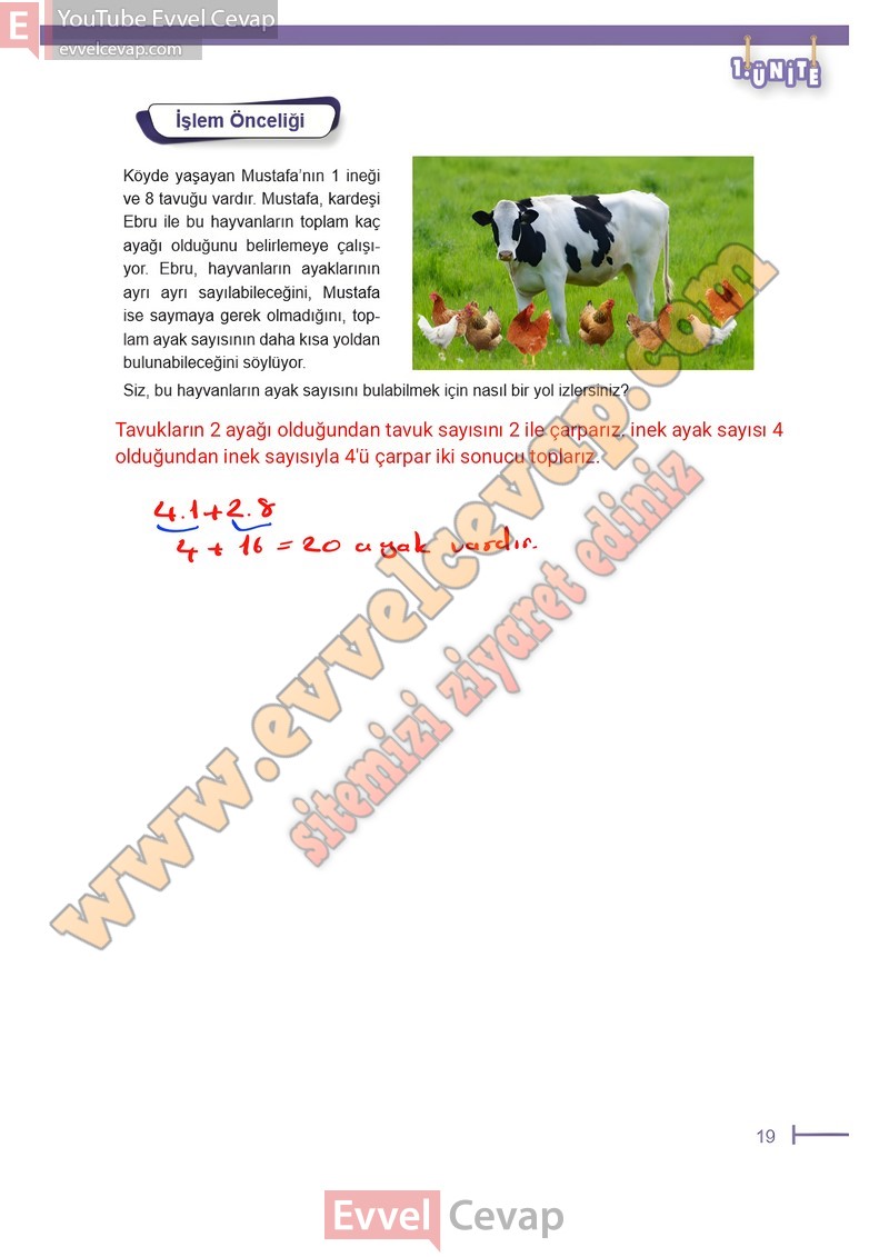 6-sinif-matematik-ders-kitabi-cevaplari-meb-sayfa-19