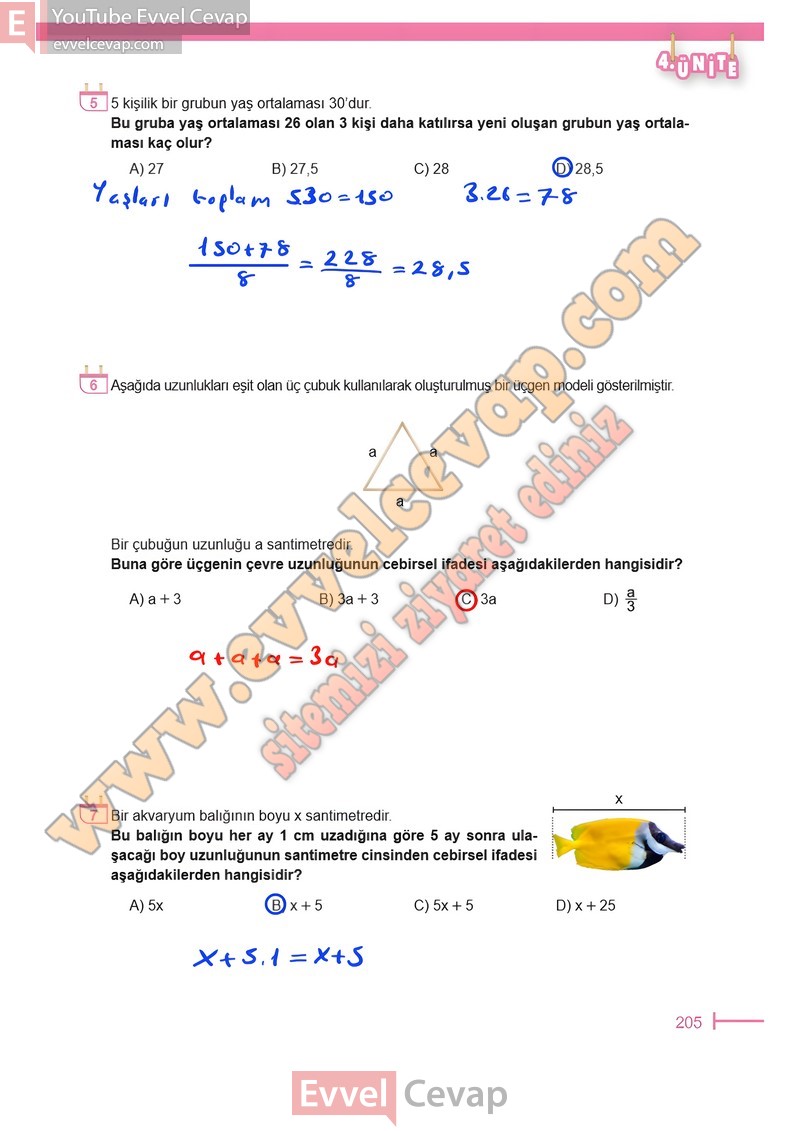 6-sinif-matematik-ders-kitabi-cevaplari-meb-sayfa-205