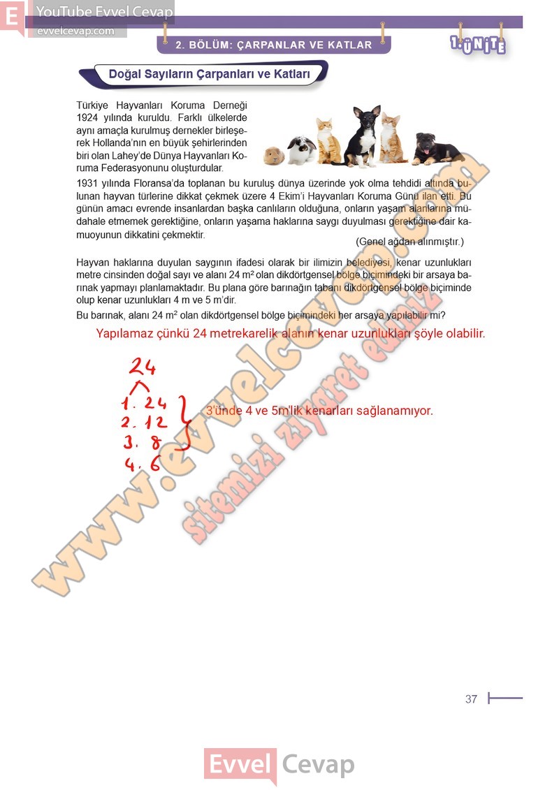 6-sinif-matematik-ders-kitabi-cevaplari-meb-sayfa-37