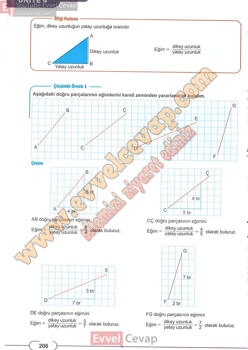 8-sinif-matematik-ders-kitabi-cevabi-meb-sayfa-206