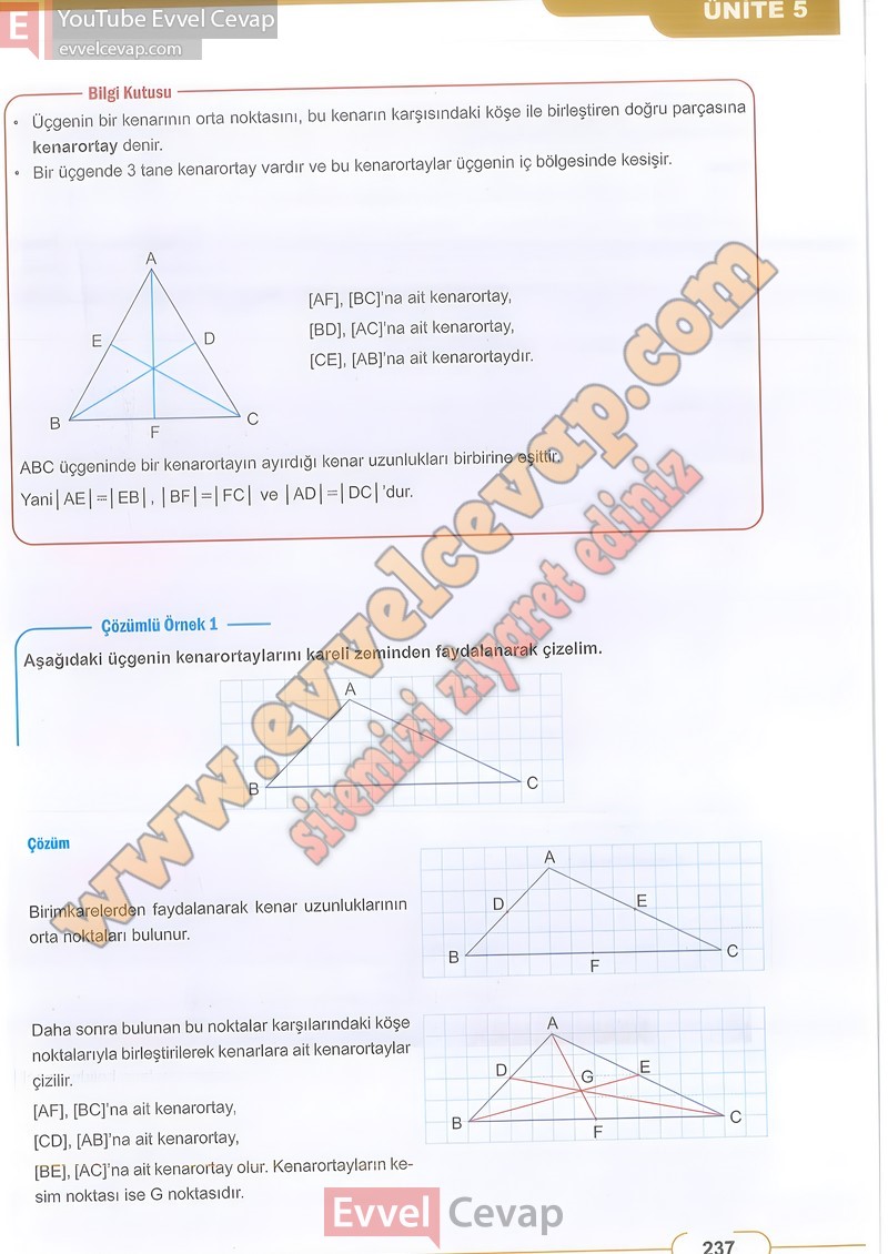 8-sinif-matematik-ders-kitabi-cevabi-meb-sayfa-237