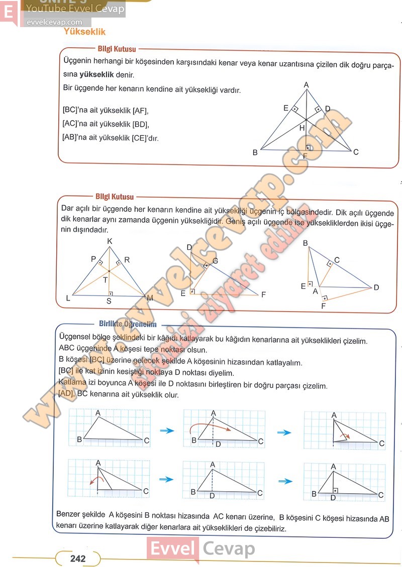 8-sinif-matematik-ders-kitabi-cevabi-meb-sayfa-242