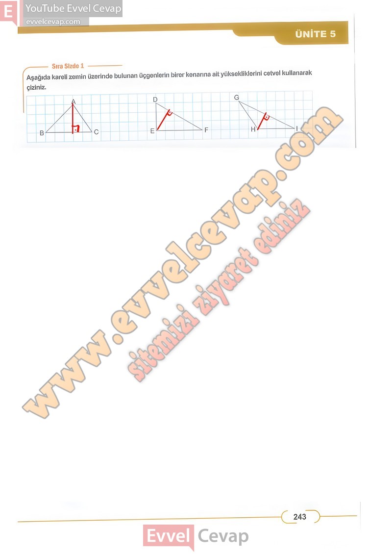 8-sinif-matematik-ders-kitabi-cevabi-meb-sayfa-243