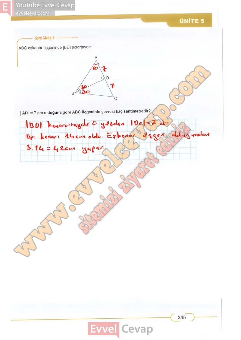 8-sinif-matematik-ders-kitabi-cevabi-meb-sayfa-245