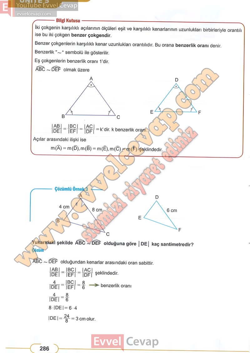 8-sinif-matematik-ders-kitabi-cevabi-meb-sayfa-286