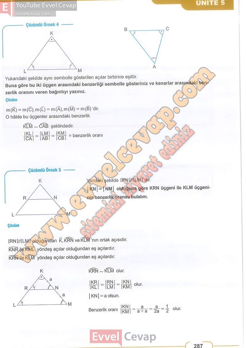 8-sinif-matematik-ders-kitabi-cevabi-meb-sayfa-287