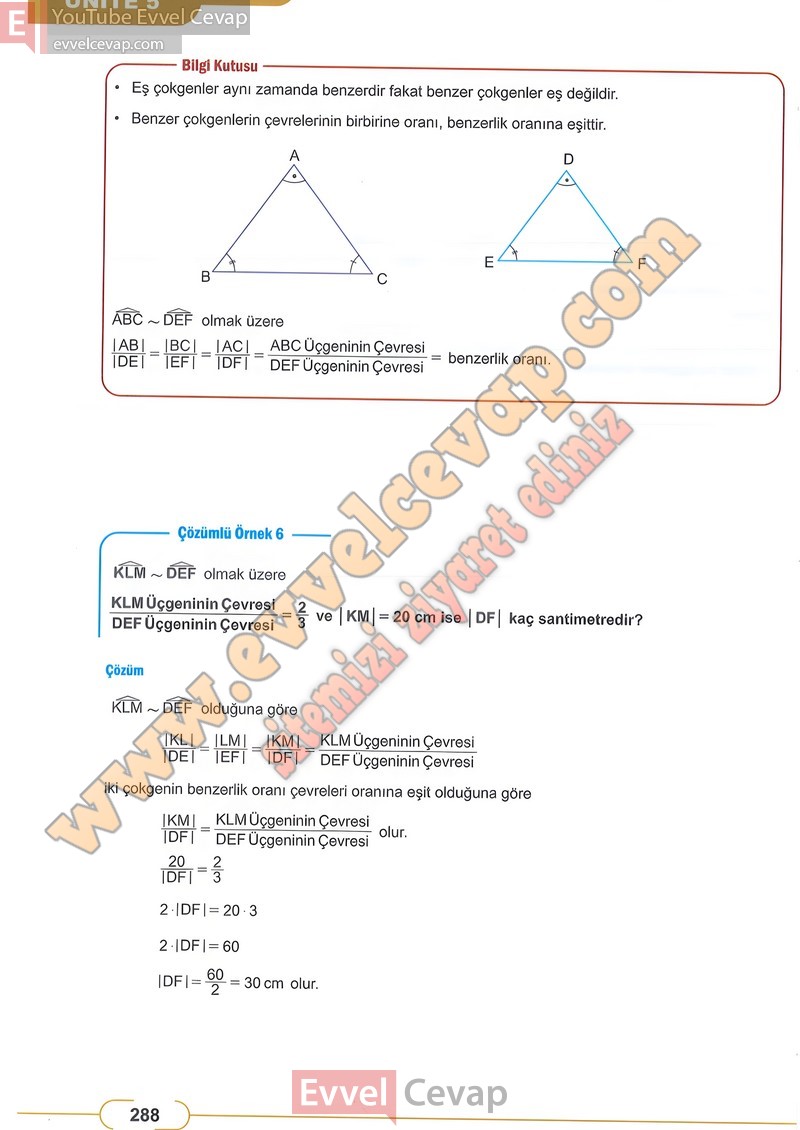 8-sinif-matematik-ders-kitabi-cevabi-meb-sayfa-288